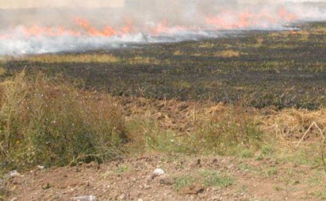 Trafic dat peste cap pe Autostrada Soarelui, din cauza unui incendiu